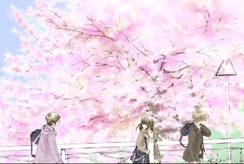 今日看料回家路